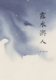 露水游人TXT百度云